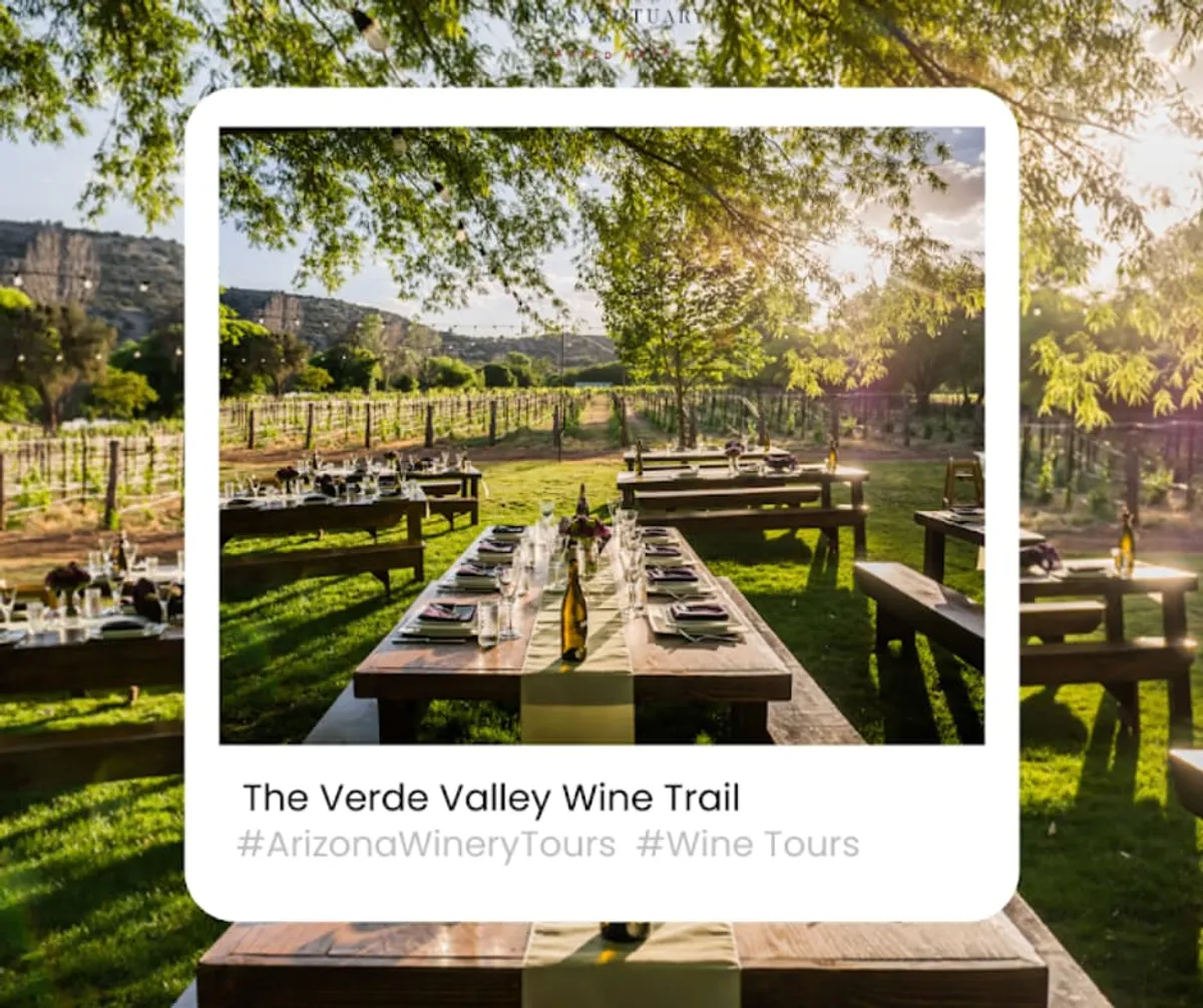 A lively outdoor wine tasting setup featuring long wooden dining tables set with wine bottles, decorative glassware, and surrounded by lush vineyards under a warm evening sky. The scene is festive and communal, highlighting the experience of sampling local wines paired with gourmet meals, with sunset hues casting a romantic glow over the landscape.